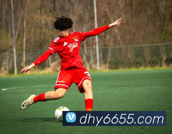 大红鹰平台品牌故事