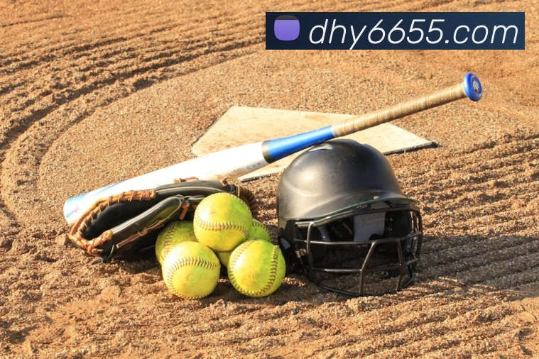 大红鹰平台服务体系